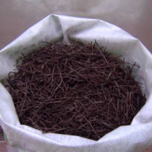 蛇木用法与作用
