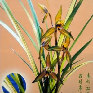 春兰花开大致经历总结