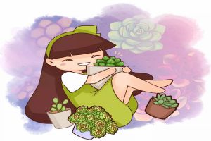 塑料瓶扣多肉上,竟然越长越水灵,10天蹭蹭爆盆!