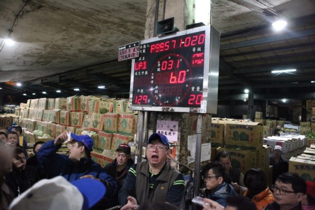 农委会提北农休市检讨报告,认未及早发现风险,提出未来6因应措施