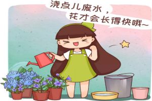 给花浇点废水,不用施肥也呼呼长,后悔现在才知道!