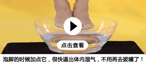 夏天不好养花?给你推荐12种夏天最好养的花 耐热不怕晒