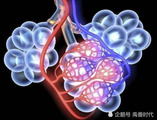杨道文:要认识到肺大泡危害性抓紧治疗
