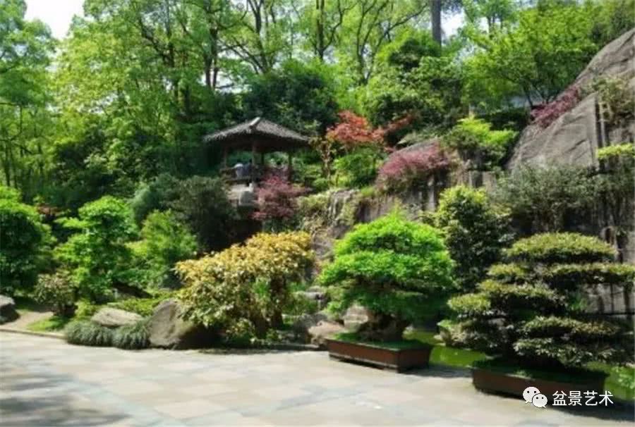 基于神态理念建盆景园