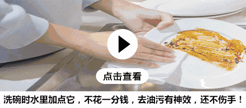 还买菜吗？空油桶剪2刀 蔬菜多到吃不完 简单又实用~