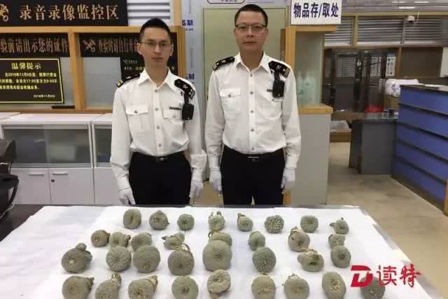 这几种多肉有毒？爱养花的你可要注意了