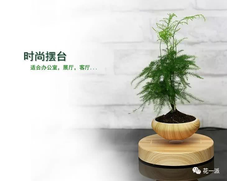 科技小造物风靡种植界 又一个空中花园的存在