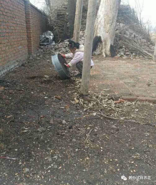 这4种小东西 随便1种都是宝 用了再也不怕烂根了