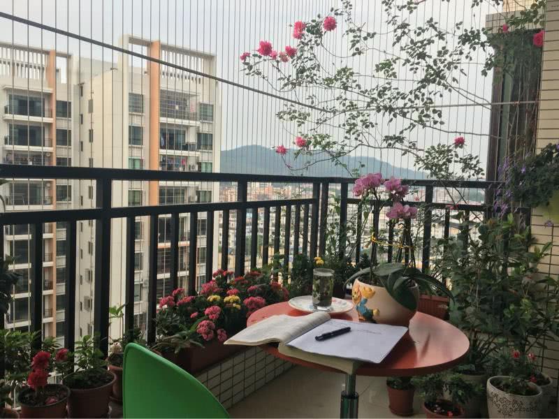 30岁单身男人的阳台 女网友直呼:别说话 娶我