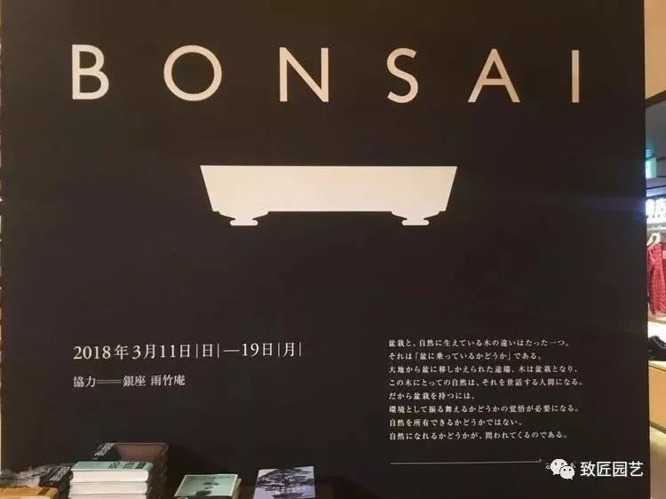 盆景完美融入图书馆