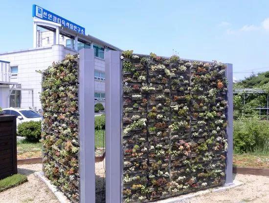 韩国京畿道研发多肉植物背板进行城市绿化
