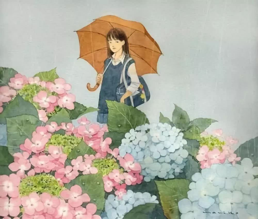 仙气十足的绣球花 怎么种出来？（一）