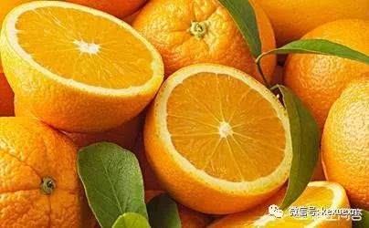 橘子容易生寄生虫 提前做好防治工作 才能够避免果园损失