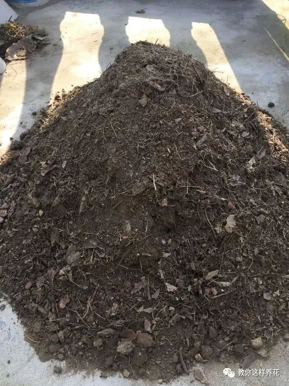 花土里有飞虫 套在塑料袋里薰2次 1个虫都找不到