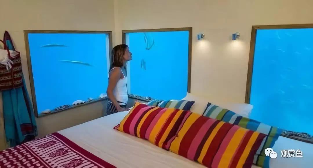 海底酒店 与鱼共眠 住过这样的酒店吗？