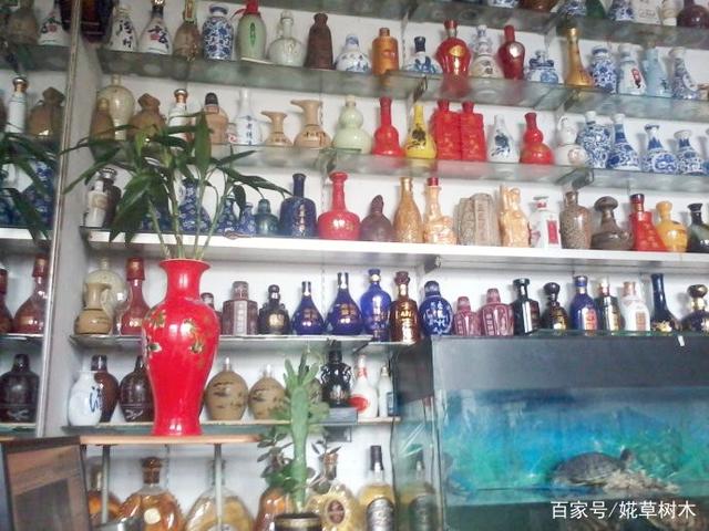 老爸是酒鬼 上百个酒瓶从不花钱买盆 盆栽全都插酒瓶里养