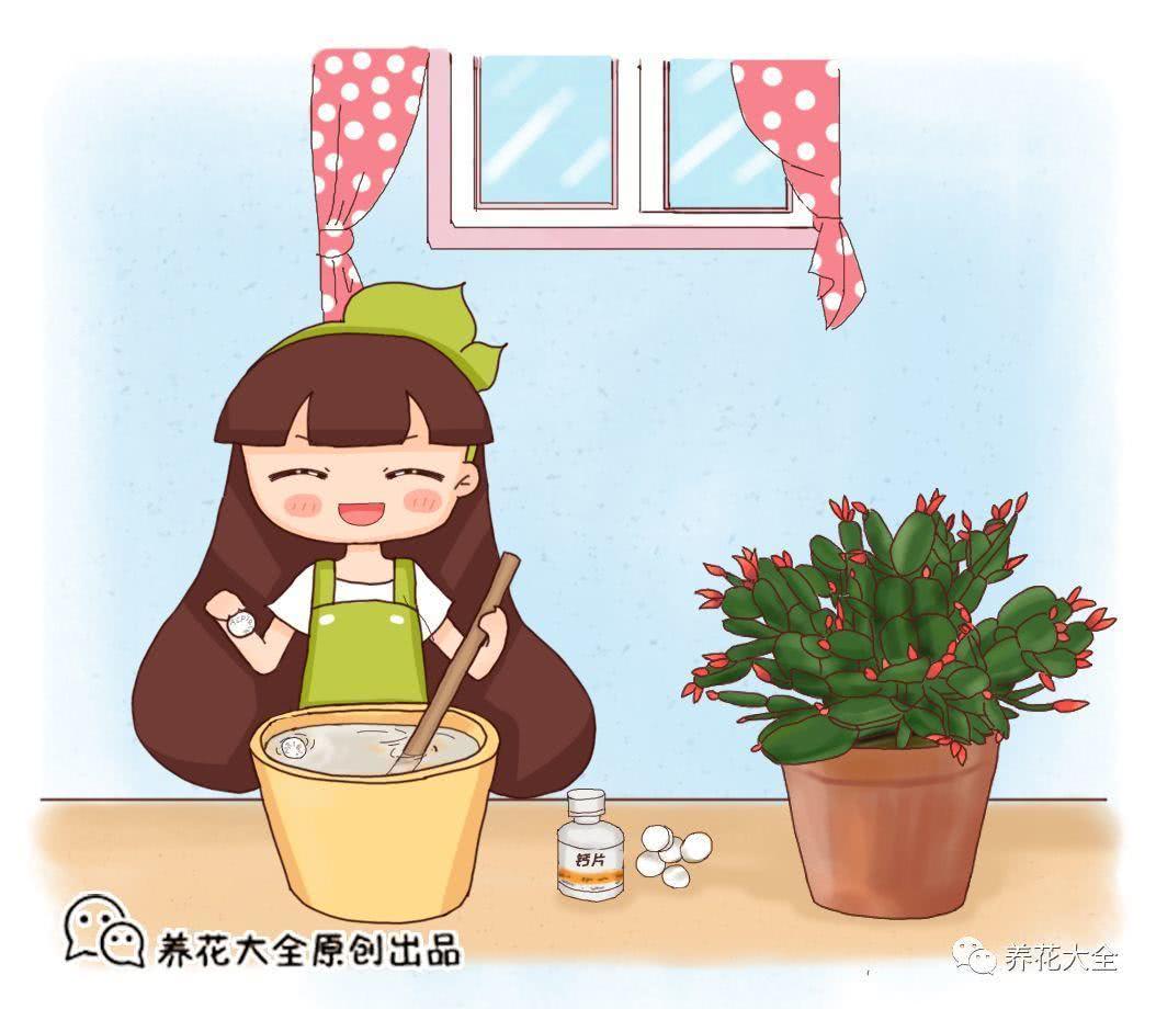 过期药膏你别扔 拿来养花 叶子油亮不招虫