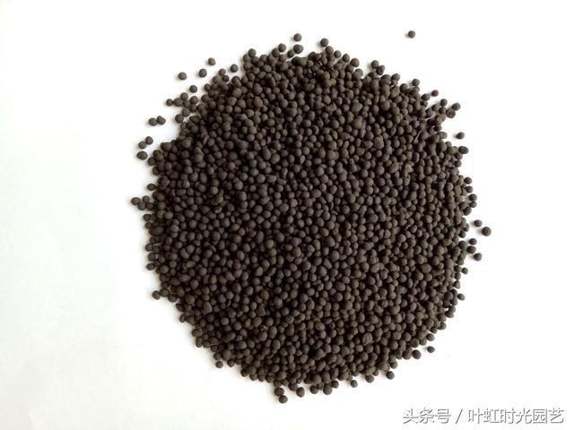 药肥双效的微生物菌剂 如何帮助作物抵御病害？