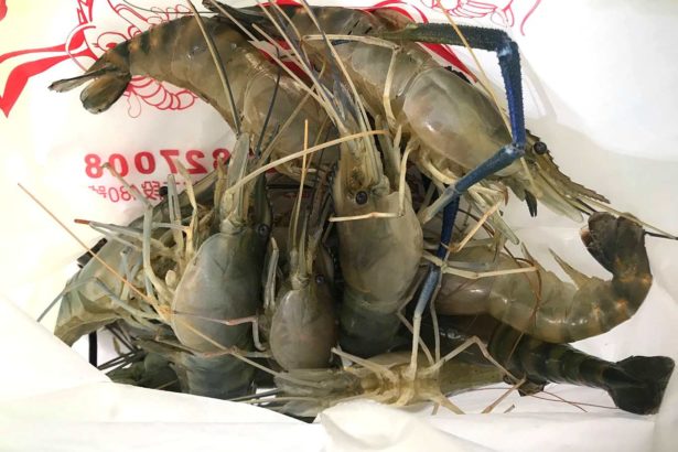 3成钓虾场虾子抗生素超标，最高超标15倍，医师：增加过敏风险