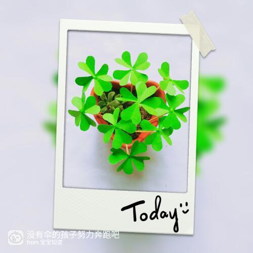 手工：四叶草袖珍小盆景 永不枯萎