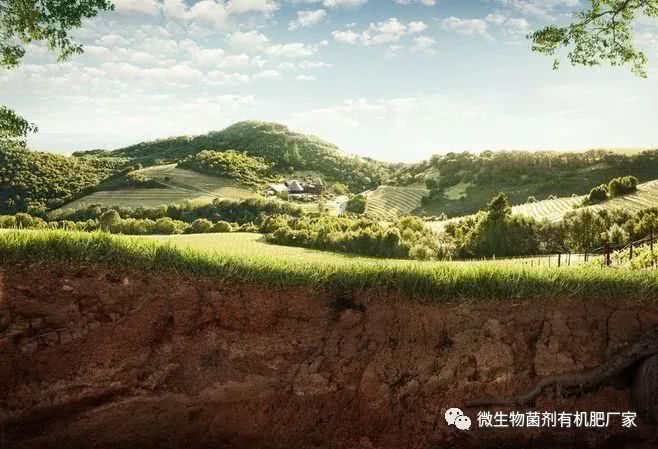 真的会破坏土壤/影响作物么?