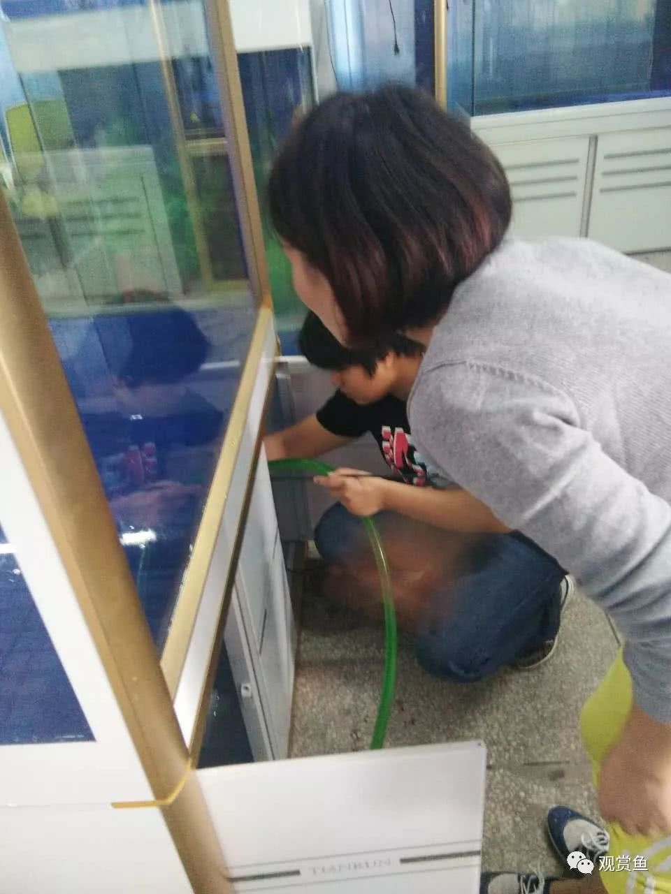 放假出门玩 家里的鱼怎么办？