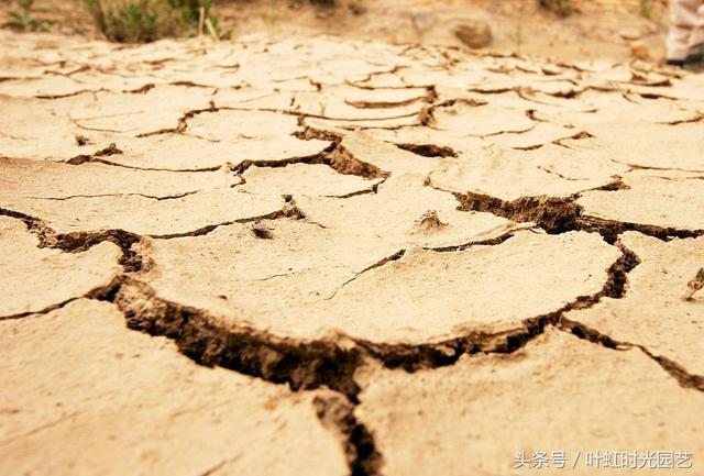 粘重土地施用微生物肥料、生物有机肥 有何益处?