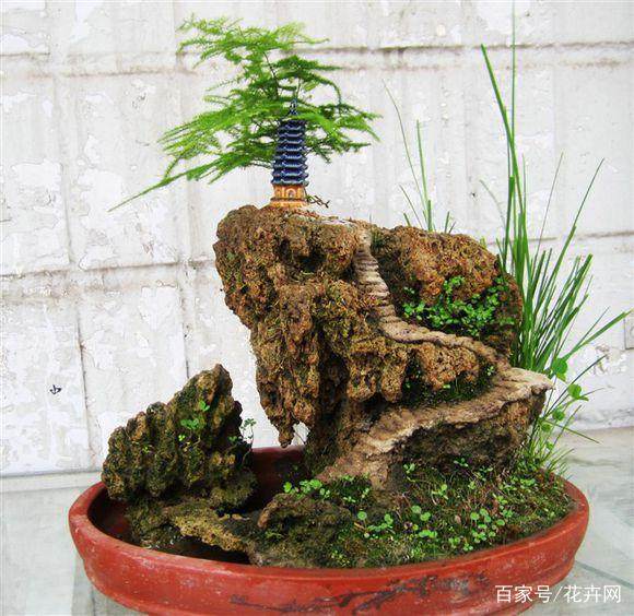 适合上水石盆景点缀的植物有哪些?