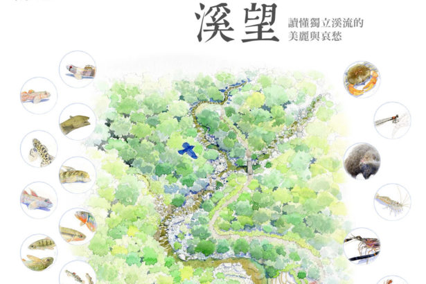 从溪望守护希望—东北角独立溪流的上河图
