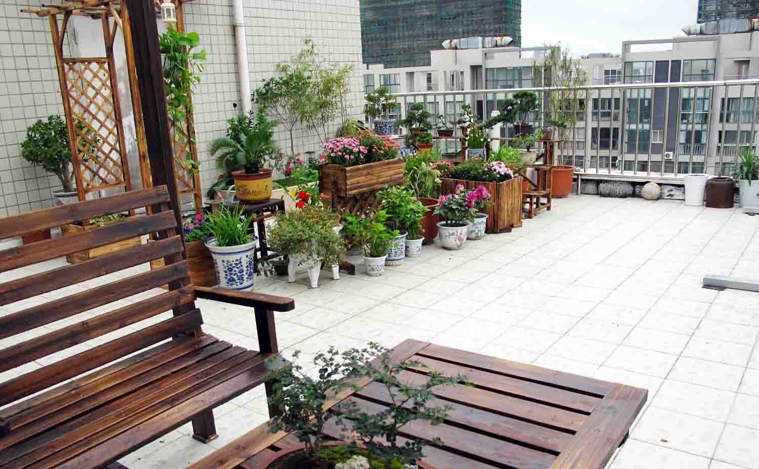 11楼屋顶60㎡露台造花园 远离城市喧嚣一身轻松