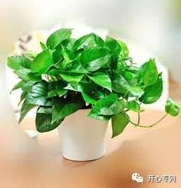 空气净化守卫战
