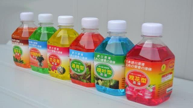 吃剩的果皮别扔 教你自制养花营养液 不黄叶不烂根