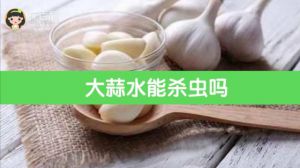 大蒜水能杀虫吗