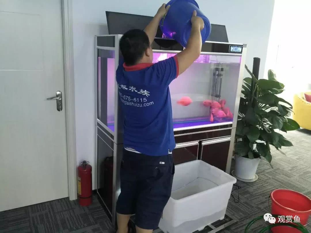 养鱼的老三样你知道是什么吗？