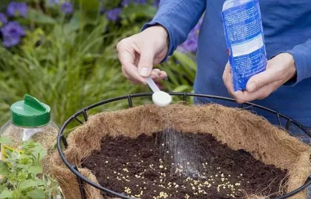 花肥的秘密:寻找盆栽植物叶绿、花红、果大的诀窍