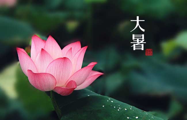 大暑是几月几日？