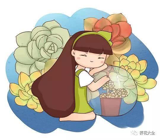 夏天养玉露 这样喷点水 叶子水灵灵像果冻