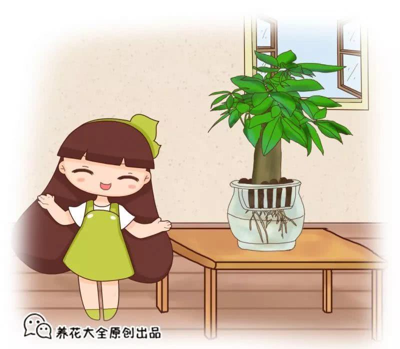 水里丢点料 花根壮的像打药 黄叶蚊虫全没了