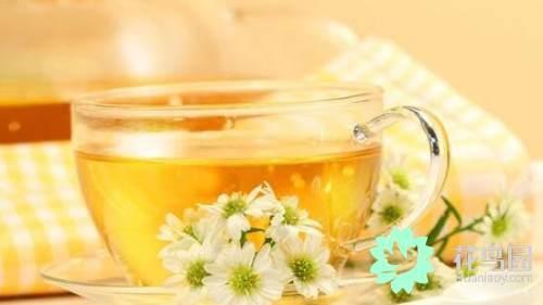 菊花茶怎么泡 孕妇可以喝菊花茶吗？