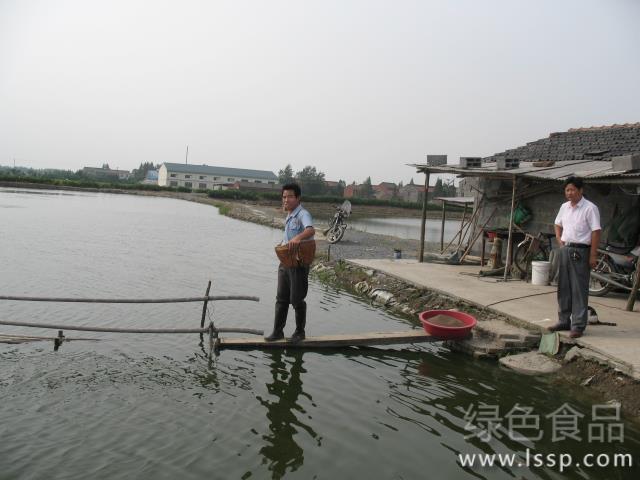 青虾秋繁脱壳水质管理河虾秋管好虾大效益高