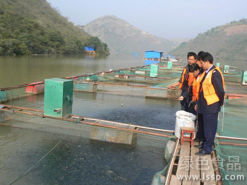 强化饲养管理防治鱼病提高家鱼产量的措施