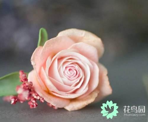美丽的手工模拟花