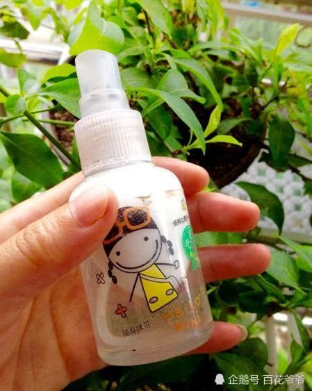 家里的花又长虫子了?赶紧喷点这个水 连杀虫药都不用买