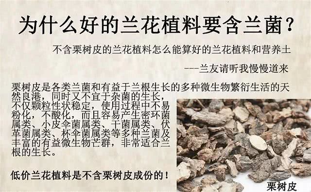 兰花植料营养土松栗王树皮颗粒基质植材种春蕙建墨兰专用通用混合型