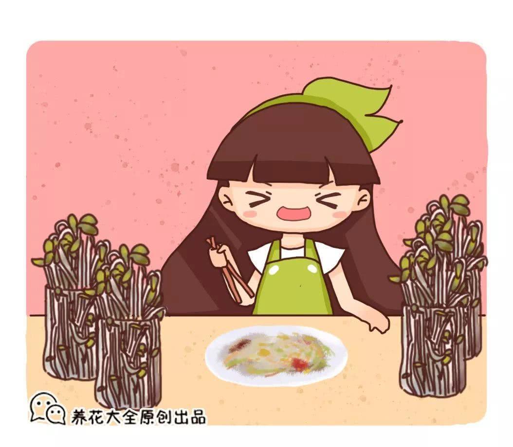 一把豆子撒瓶里 长出豆芽撑爆瓶子 吃都吃不完