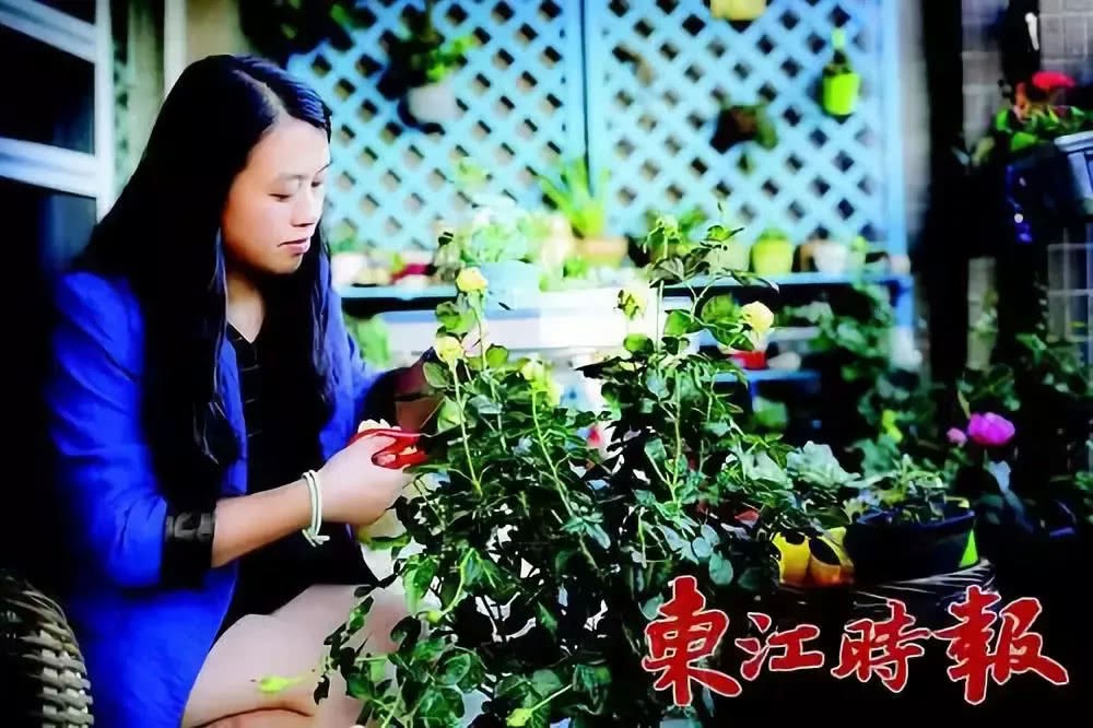 送朋友一盆花 最后治好了她的抑郁症 太感人