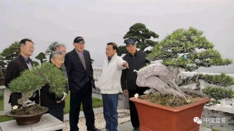 亦师亦友悼胡公音容笑貌今犹在