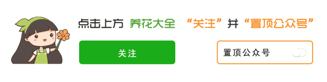 管用|这花晒干后塞枕头里 专治头痛 让你一觉睡到天亮