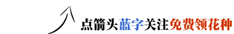 花市老板的8大谎言 你遇到过吗?