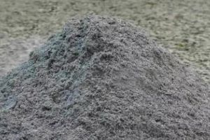盆里撒把灰，蚊虫全跑光，一天蹿出10个芽，盆都撑爆了...